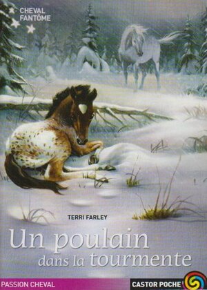 Un poulain dans la tourmente by Terri Farley