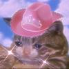 sleaterkenneth's profile picture