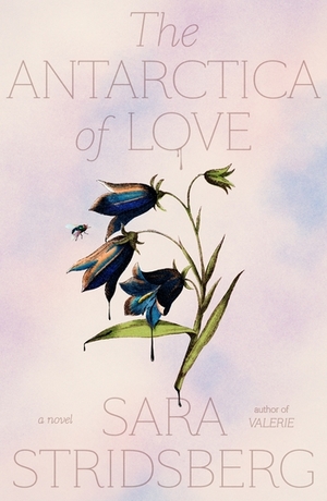 The Antarctica of Love: A Novel by Sara Stridsberg