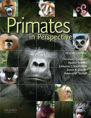 Primates in Perspective by Katherine MacKinnon, Christina Campbell, Agustin Fuentes
