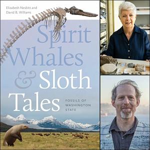 Spirit Whales and Sloth Tales: Fossils of Washington State by Elizabeth A. Nesbitt