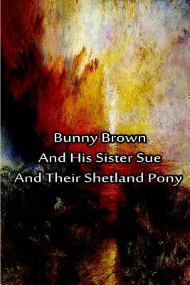 Bunny Brown And His Sister Sue And Their Shetland Pony by Laura Lee Hope