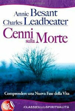 Cenni sulla morte by Annie Besant, Charles W. Leadbeater