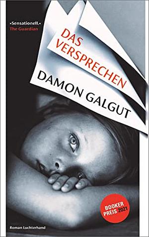 Das Versprechen  by Damon Galgut