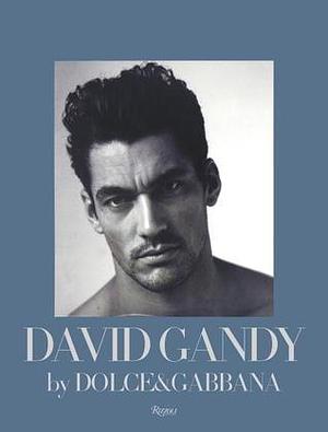 David Gandy by Dolce & Gabbana: The Male Icon by Peter Howarth, Peter Howarth