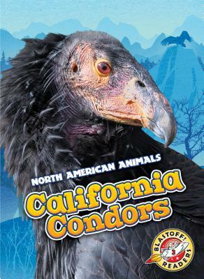 California Condors by Rebecca Sabelko