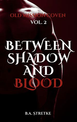 between shadow and blood by B.A. Stretke