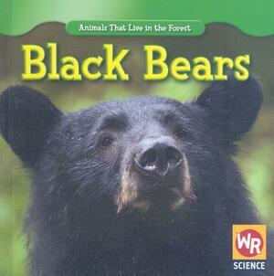 Black Bears by JoAnn Early Macken