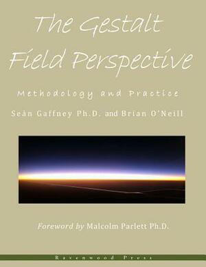 The Gestalt Field Perspective: Methodology and Practice by Sean Gaffney Phd, Brian O'Neill