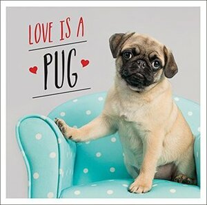 Love is a Pug: A Pugtastic Celebration of The World's Cutest Dogs by Charlie Ellis