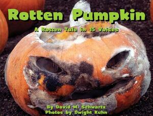 Rotten Pumpkin by David Schwartz