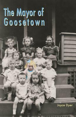 Goosetown: Reconstructing an Akron Neighborhood by Joyce Dyer