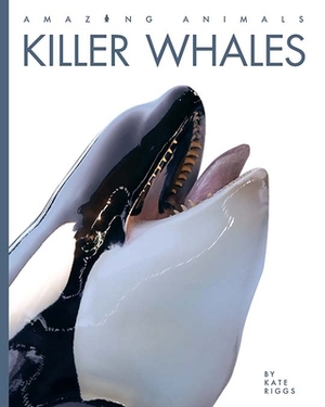 Killer Whales by Kate Riggs