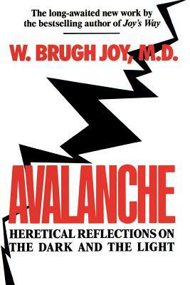 Avalanche: Heretical Reflections on the Dark and the Light by W. Brugh Joy