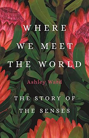 Where We Meet the World: The Story of the Senses by Ashley Ward