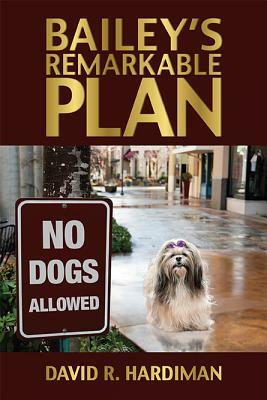 Bailey's Remarkable Plan by David Hardiman