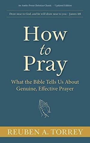 How to Pray: What the Bible Tells Us About Genuine, Effective Prayer by Reuben A. Torrey, Reuben A. Torrey