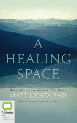 A Healing Space: Befriending Ourselves in Difficult Times by Matt Licata