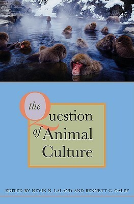 The Question of Animal Culture by Michael Tomasello, Jeremy R. Kendal, William C. McGrew, Janet Mann, Andrew Whiten, Kim Hill, Hal Whitehead, Susan Perry, Kim Sterelny, Rachel L. Kendal, Carel van Schaik, Kristin E. Bonnie, Brooke L. Sargeant, Kevin N. Laland