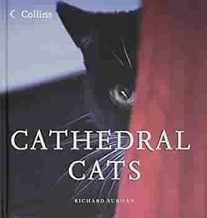 Cathedral Cats by Richard Surman