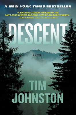 Descent by Tim Johnston