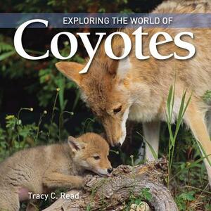 Exploring the World of Coyotes by Tracy Read