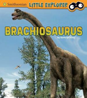Brachiosaurus by Kathryn Clay
