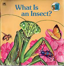 What Is an Insect? by Jenifer W. Day