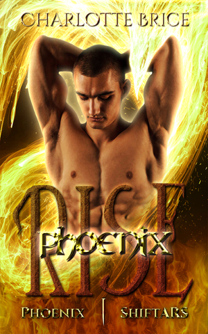Phoenix Rise by Charlotte Brice