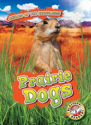 Prairie Dogs by Kaitlyn Duling