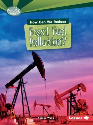 How Can We Reduce Fossil Fuel Pollution? by Andrea Wang