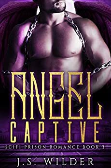 Angel Captive by J.S. Wilder