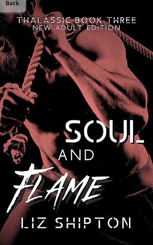 Soul and Flame by Liz Shipton