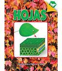 Hojas: Leaves by Alicia Klepeis