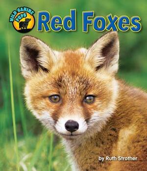 Red Foxes by Ruth Strother