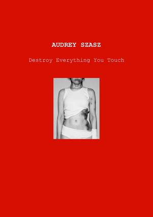 Destroy Everything You Touch by Audrey Szasz