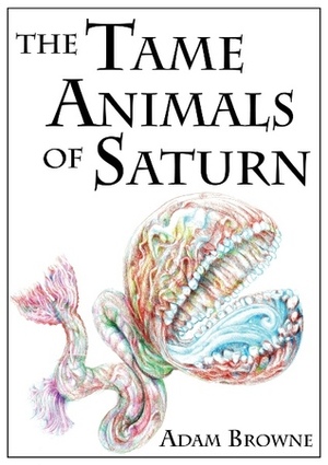 The Tame Animals of Saturn by Adam Browne