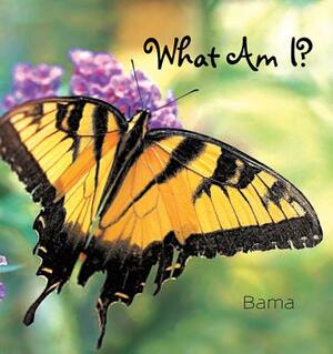 What Am I? by Bama