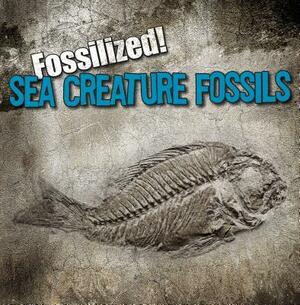 Sea Creature Fossils by Kathleen Connors