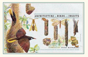 Architecture by Birds and Insects: A Natural Art by David Quammen, Peggy Macnamara, John Bates