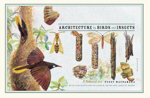 Architecture by Birds and Insects: A Natural Art by Peggy Macnamara, David Quammen, John Bates