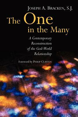 The One in the Many: A Contemporary Reconstruction of the God-World Relationship by Joseph A. Bracken