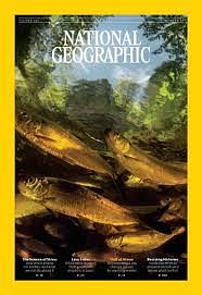 National Geographic - June 2024 by National Geographic