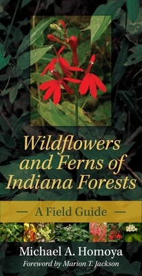 Wildflowers and Ferns of Indiana Forests: A Field Guide by Michael A. Homoya