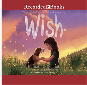 Wish by Barbara O'Connor