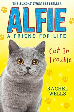 Alfie Cat In Trouble by Rachel Wells