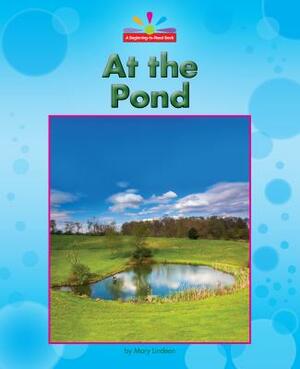 At the Pond by Mary Lindeen