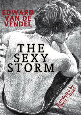 The Sexy Storm by Edward van de Vendel