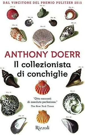 Il collezionista di conchiglie by Anthony Doerr