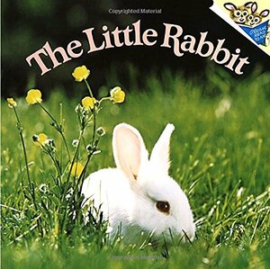 The Little Rabbit by Judy Dunn